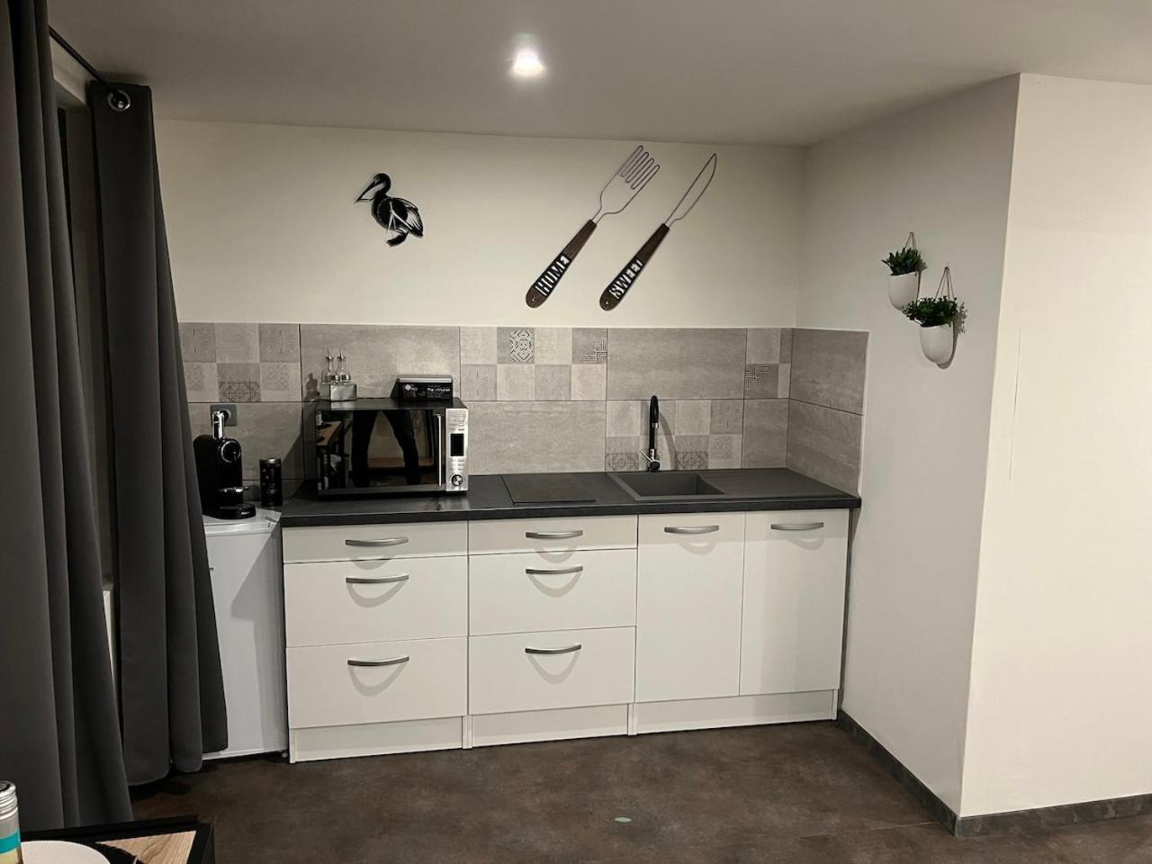 Studio Le Petit Pelican Châtenois Kültér fotó