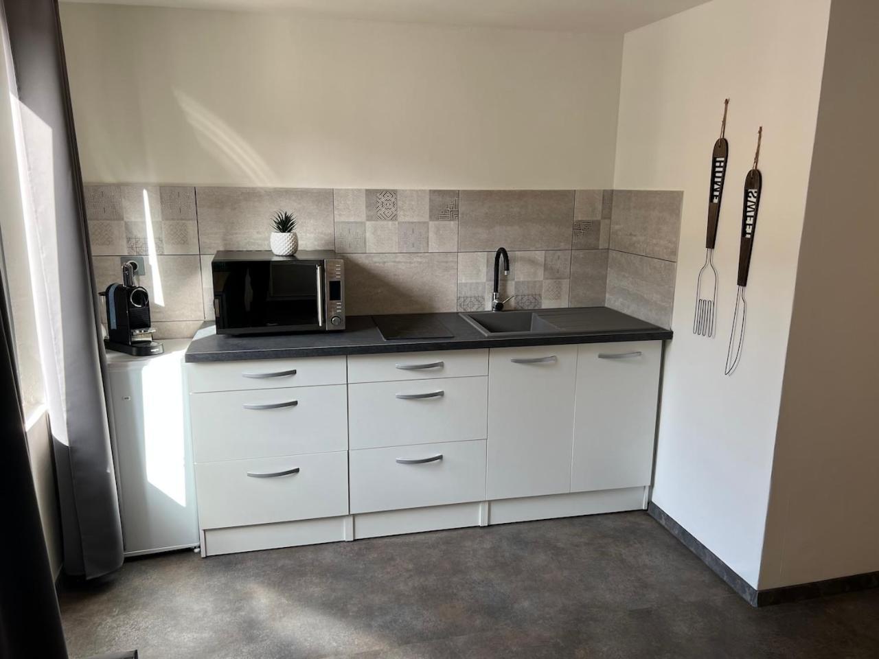 Studio Le Petit Pelican Châtenois Kültér fotó