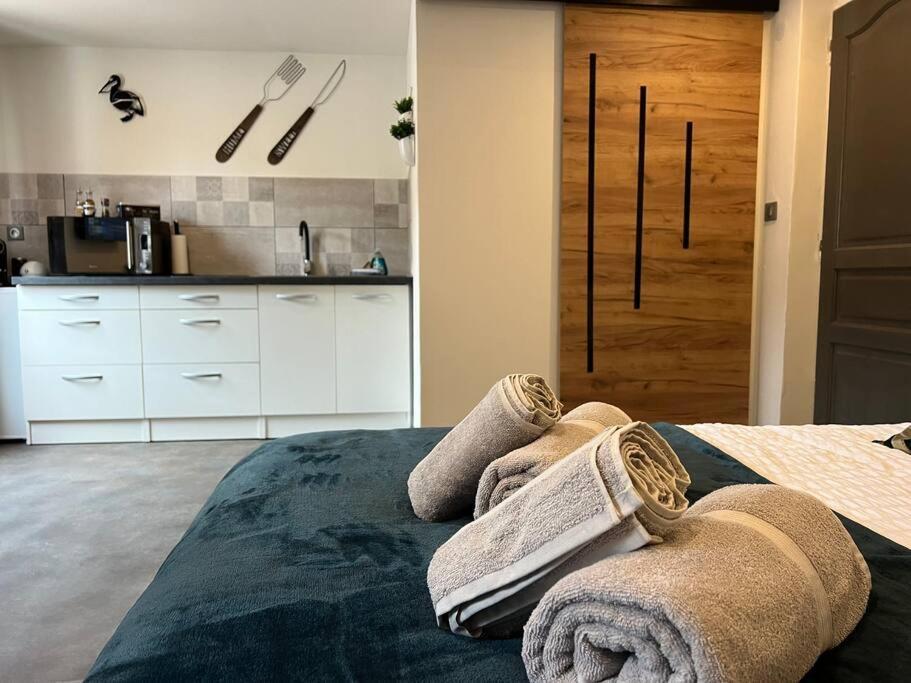 Studio Le Petit Pelican Châtenois Kültér fotó
