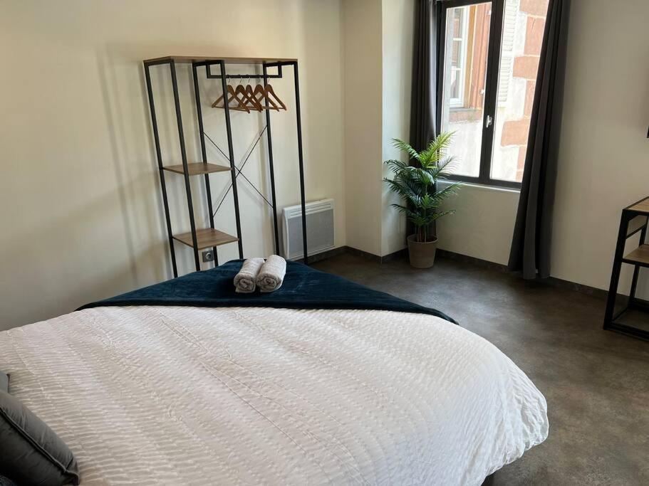 Studio Le Petit Pelican Châtenois Kültér fotó